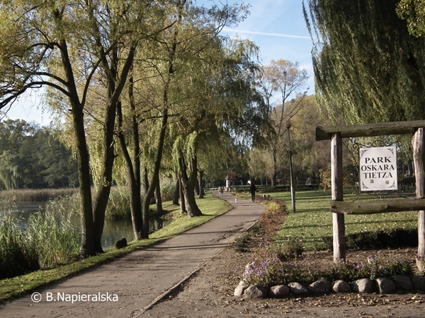Miedzychód wiosna